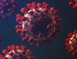 Covid-19 é tema do primeiro módulo da escola judicial em 2021